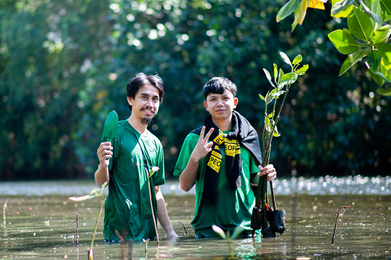 <p>บริษัท พรีเมียม แอสเซท จำกัด (PA) ร่วมกับ บริษัท จัสมิน อินเตอร์เนชั่นแนล จำกัด (มหาชน) (JAS)  จัดกิจกรรมปลูกป่าชายเลนและปล่อยปู เพื่อธรรมชาติที่สมบูรณ์</p>