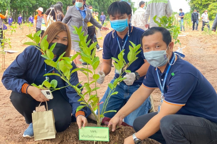 <p>คุณเจษฎา ศรีสำราญ ผู้จัดการจังหวัด บริษัท ทริปเปิลที บรอดแบนด์ จำกัด (มหาชน) หรือ 3BB จังหวัดกาฬสินธุ์ นำทีมพนักงานเข้าร่วมกิจกรรมปลูกป่า โดยมีสำนักงาน</p>